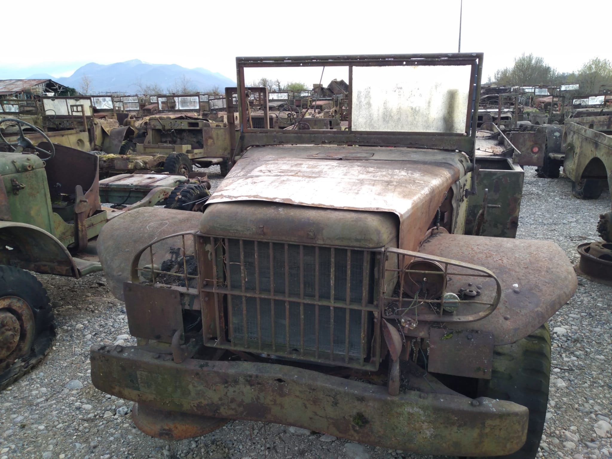 DODGE WC 51